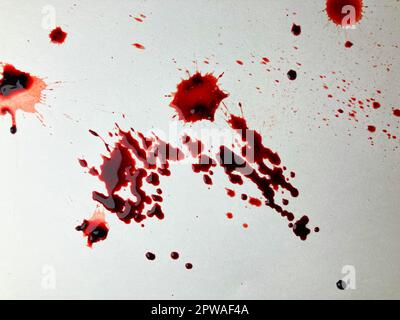 Sangue realistico isolato su sfondo bianco. Gocce di sangue e schizzi Foto Stock