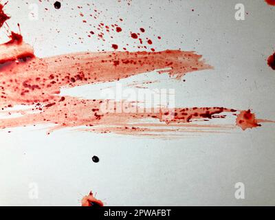 Carta sanguinosa con tracce di sangue realistico, trama di carta stropicciata con spruzzi di sangue Foto Stock