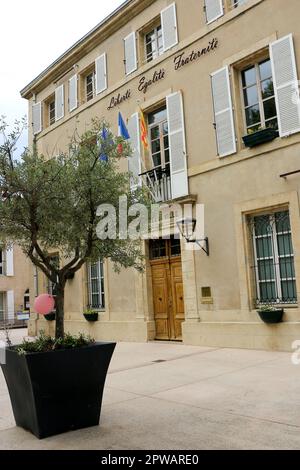 Fête du Rosé à Pelissanne 13, Francia) Foto Stock