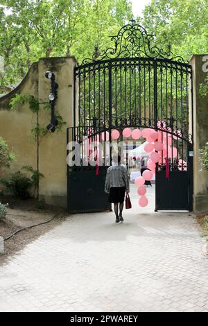 Fête du Rosé à Pelissanne 13, Francia) Foto Stock