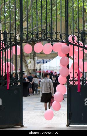 Fête du Rosé à Pelissanne 13, Francia) Foto Stock