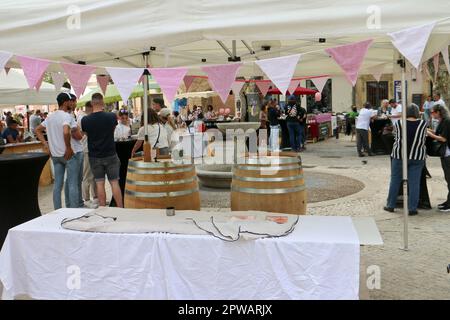 Fête du Rosé à Pelissanne 13, Francia) Foto Stock