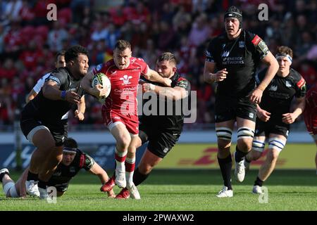 Llanelli, Regno Unito. 29th Apr, 2023. Gareth Davies delle Scarlet fa una pausa. European Challenge Cup rugby, incontro semifinale, Scarlets contro Glasgow Warriors al Parc y Scarlets di Llanelli, Galles sabato 29th aprile 2023. pic di Andrew Orchard/Andrew Orchard sports photography/Alamy Live news Credit: Andrew Orchard sports photography/Alamy Live News Foto Stock