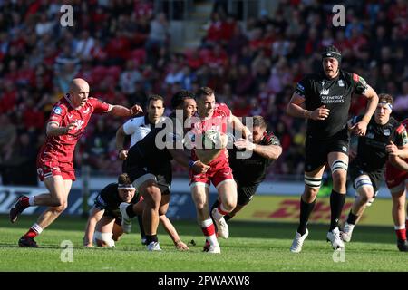 Llanelli, Regno Unito. 29th Apr, 2023. Gareth Davies delle Scarlet fa una pausa. European Challenge Cup rugby, incontro semifinale, Scarlets contro Glasgow Warriors al Parc y Scarlets di Llanelli, Galles sabato 29th aprile 2023. pic di Andrew Orchard/Andrew Orchard sports photography/Alamy Live news Credit: Andrew Orchard sports photography/Alamy Live News Foto Stock