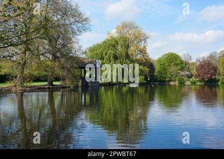 Broomfield Park, Palmers Green, Londra UK, in primavera, con lago e pergola Foto Stock