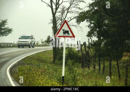 SUV bianco che arrotonda l'angolo della strada rurale nella nebbia con il segnale di avvertimento della mucca in primo piano - Europa orientale Foto Stock