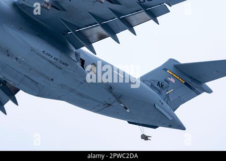 STATI UNITI Air Force tattica del partito di controllo dell'aria specialisti con distaccamento 1, 3rd Air Support Operations Squadron, e Stati Uniti I paracadutisti dell'esercito assegnati alla squadra di combattimento della Brigata di Fanteria 2nd (Airborne), 11th Airborne Division, "Arctic Angels", saltano da una Guardia Nazionale dell'Alaska Air C-17 Globemaster III assegnata alla 176th Wing, presso la Malemute Drop zone, Joint base Elmendorf-Richardson, Alaska, 25 aprile 2023. Il personale dell'esercito e dell'aeronautica di JBER lavora insieme per eseguire il supporto agile di combattimento per consentire e sostenere la letalità in una posizione strategica. (STATI UNITI Foto Air Force di Airman 1st Class Julia Lebens Foto Stock