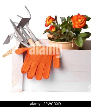 Guanti da giardinaggio da donna su sfondo di legno Foto stock - Alamy