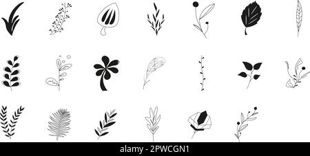 Un set di ramoscelli disegnati a mano con foglie. Stile Doodle. Elementi botanici, vegetali per la progettazione di cartoline, inviti. Isolato su bianco. Set di design di lusso per matrimoni e decorazioni. Illustrazione Vettoriale
