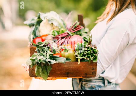 Donna irriconoscibile in guanti che dimostra cassa di legno con verdure varie durante il lavoro in azienda Foto Stock