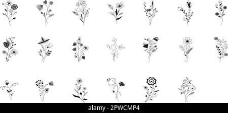 Fiori e rametti di prato, rami di albero, erbe d'erba estiva, set vettoriale. Fiori di doodle disegnati a mano, erbe, ramoscelli collezione botanica. Dogwood, salice, trifoglio, bacche, ramo di oliva, piante di erba Illustrazione Vettoriale