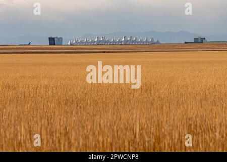 Denver, Colorado, il terminal passeggeri dell'aeroporto internazionale di Denver, visto dalla prateria a est dell'aeroporto Foto Stock