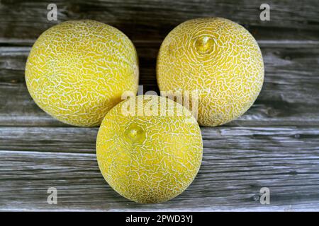 Il cantaloupe, rockmelon (Australia e Nuova Zelanda, anche se cantaloupe), melone dolce, o spanspek (Africa Meridionale), un melone che è una varietà di t Foto Stock