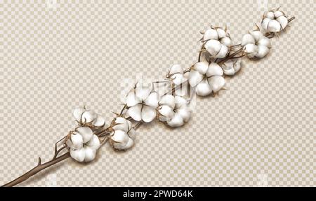Rametto di cotone realistico con fiori, bel gambo con fiori bianchi fondo trasparente isolato, spugnole mature in fibra morbida naturale con texturedesign elemento vettoriale 3D Illustrazione Vettoriale