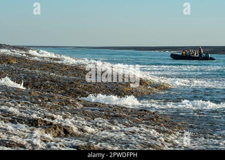 Bassa marea a Montgomery Reef, Kimberley Coast, WA, Australia Foto Stock