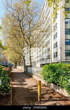 La natura incontra le strutture artificiali con alberi e vegetazione che crescono accanto a un moderno edificio di uffici a Reading, Regno Unito Foto Stock