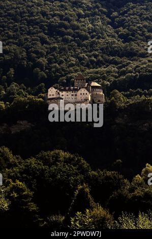 Castello di Vaduz o Schloss Vaduz, palazzo e residenza ufficiale dei principi del Liechtenstein. Sopra la città di Vaduz, ora capitale del Liechtenstein, il Principato di lingua tedesca tra la Svizzera e l'Austria. Foto Stock