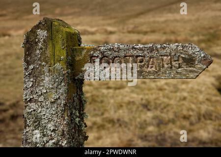 Un vecchio fingerpost in legno sul sentiero, nello Yorkshire Dales National Park, Regno Unito Foto Stock