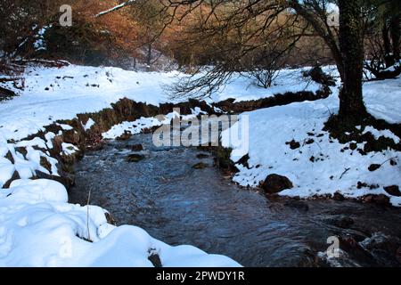 Neve sul fiume Clywedog, Nant Mill Woods, Coedpoeth, Galles Foto Stock
