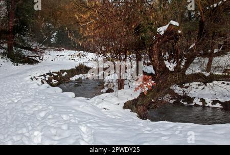 Neve sul fiume Clywedog, Nant Mill Woods, Coedpoeth, Galles Foto Stock