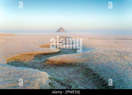 Una giornata gelida degli inverni sulle paludi salate che si affacciano su Mont St Michel in Francia Foto Stock