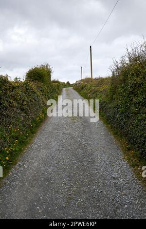 piccola strada di campagna locale fiancheggiata da siepi fine di una vecchia strada carestia nella contea di fanore clare repubblica d'irlanda Foto Stock