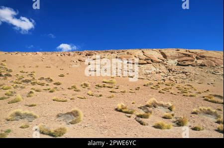 Massicce formazioni rocciose con piante di Ichu nel deserto di Siloli, Altiplano Boliviano, Bolivia, Sud America Foto Stock