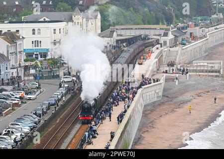 Dawlish, Devon, Regno Unito. 30th aprile 2023. Gli appassionati di vapore fiancheggiano il muro di mare come No.60103 The Flying Scotsman corre attraverso Dawlish nel Devon mentre si dirige verso Plymouth sulla strada per Cornovaglia durante le iconiche locomotive a vapore celebrazioni centenarie. Picture Credit: Graham Hunt/Alamy Live News Foto Stock