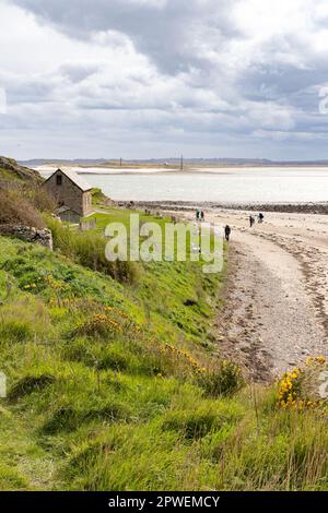 Spiaggia di Lindisfarne; persone che camminano sulla spiaggia sulla costa del northumberland, Lindisfarne, Holy Island, Northumberland UK Foto Stock