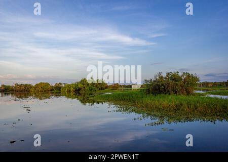 Billabong Yellow Waters, Australia settentrionale Foto Stock