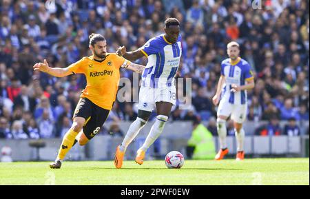 Danny Welbeck di Brighton cerca di allontanarsi da Ruben Neves of Wolves durante la partita della Premier League tra Brighton & Hove Albion e Wolverhampton Wanderers all'American Express Community Stadium di Brighton, Regno Unito - 29th aprile 2023. Foto Simon Dack / Telephoto immagini. Solo per uso editoriale. Nessun merchandising. Per le immagini di calcio si applicano le restrizioni di fa e Premier League inc. Nessun utilizzo di Internet/cellulare senza licenza FAPL - per i dettagli contattare Football Dataco Foto Stock