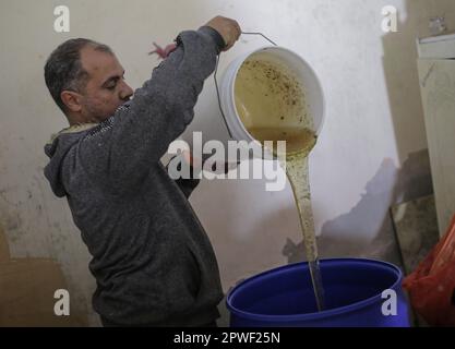 28 aprile 2023, Gaza City, la striscia di Gaza, Palestina: Un uomo palestinese lavora in un apiario raccogliendo miele da alveari nell'apiario durante la stagione di raccolto annuale, nella città di Beit Hanoun nella striscia di Gaza settentrionale. (Credit Image: © Mahmoud Issa/Quds Net News via ZUMA Press Wire) SOLO PER USO EDITORIALE! Non per USO commerciale! Foto Stock