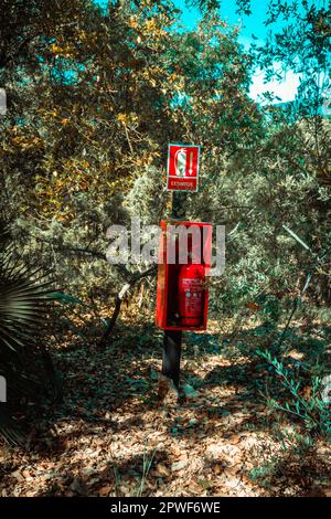 Un estintore (in spagnolo estintore) installato nel mezzo della foresta per prevenire gli incendi Foto Stock