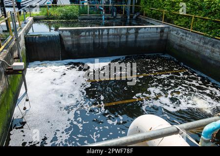 Acque reflue in laghetti, acque reflue e rifiuti domestici pericolosi Foto Stock