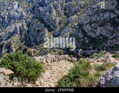 Walker sta affrontando la ripida discesa dal Coll des Prat al Monastero di Lluc sulla strada GR221 Drystone attraverso i Monti Tramuntana a Maiorca Foto Stock