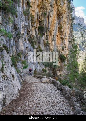 Cammina lungo il sentiero acciottolato attraverso la suggestiva gola di Barranc de Biniaraix sopra Soller nei Monti Tramuntana di Maiorca in Spagna Foto Stock
