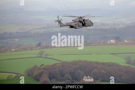 Due velivoli Royal Navy Merlin della 845 Squadron Command Helicopter Force (CHF) con sede a RNAS Yeovilton, si schierano a Oakhampton Camp per tutta la durata Foto Stock