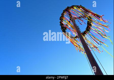 Leer, Germania. 30th Apr, 2023. il maypole di quest'anno sulle scale di Leer East Frisia soffia nel vento. Il 30 aprile, il maypole è stato eretto in molti villaggi della Frisia Orientale. Questo tronco d'albero, decorato con piante di abete verde e fiori di carta colorati e con una corona ornata in cima, è eretto mentre si ballano e si suona la musica. Credit: Lars Klemmer/dpa/Alamy Live News Foto Stock