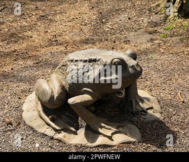 Gigantesca rana di legno su una scultura di giglio, Bute Park, Cardiff. Data di aprile 2023. Molla Foto Stock