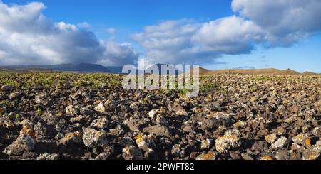 Campo di lava coperto di lichen, Montana Blanca, vicino a Costa Tequise, Lanzarote, Isole Canarie, Spagna, Europa Foto Stock