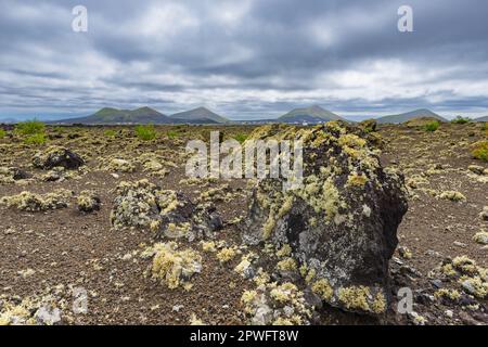 Campo di lava cresciuto con Lichen, Parque Natural De Los Volcanes, vicino a Masdache, Lanzarote, Isole Canarie, Spagna, Europa Foto Stock