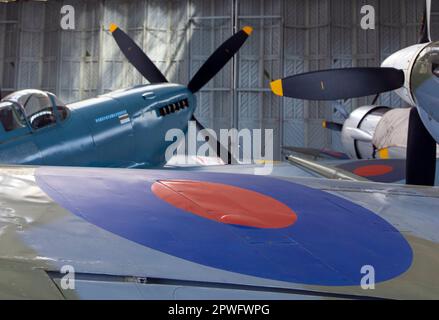 RAF roundel su Spitfire Duxford IWM Cambridgeshire Foto Stock