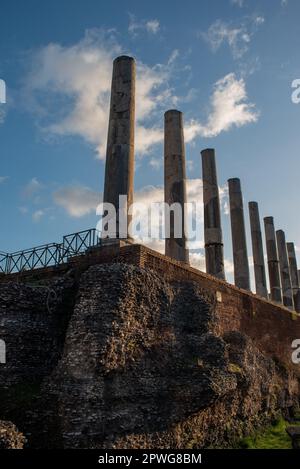 Le colonne intorno al Tempio di Venere a Roma Foto Stock