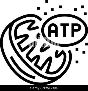 illustrazione del vettore icona della linea biochimica della respirazione cellulare Illustrazione Vettoriale