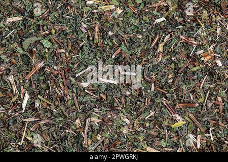 Illustrazione di melissa naturale sfondo menta. Texture di Melissa officinalis L. secco vista dall'alto. Layout piatto. Foto Stock