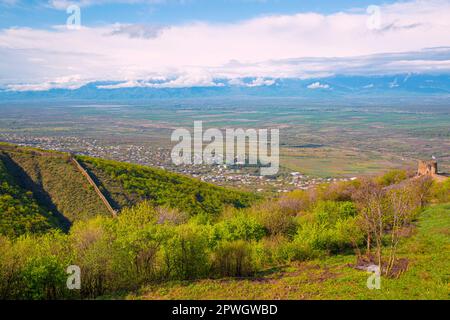 Vineyard Valley nella regione di Kakheti, Georgia. Valle Alazani in primavera, bellissimo paesaggio. Foto Stock