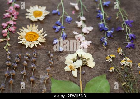 Molti fiori secchi diversi bella su tavola di legno Foto Stock