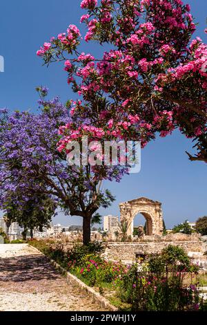 Necropoli e arco trionfale romano, nella terra principale di Tiro, Tiro (Sour,sur), Libano, Medio Oriente, Asia Foto Stock