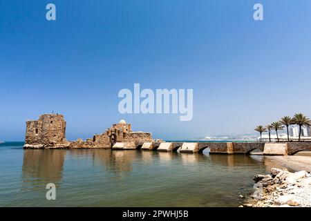 Sidone mare castello, Fortezza della terra Santa, Mar Mediterraneo, Crociati, Sidone (Saida), Libano, medio Oriente, Asia Foto Stock