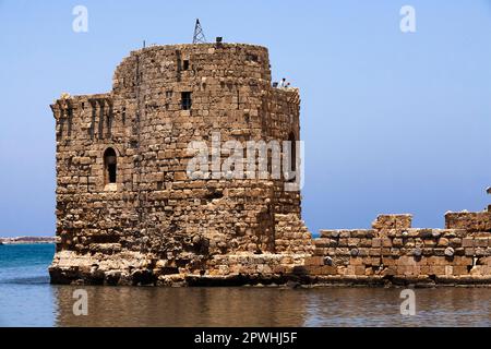 Sidone mare castello, Fortezza della terra Santa, Mar Mediterraneo, Crociati, Sidone (Saida), Libano, medio Oriente, Asia Foto Stock